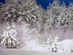 Schöne Gedichte von Rainer Maria Rilke und Martin Greif für die Adventszeit Schöne Gedichte von Rainer Maria Rilke und Martin Greif für die Adventszeit