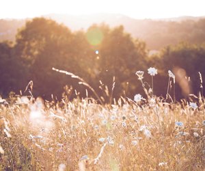 Der Sommer kommt? Das wird der schönste Monat