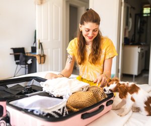 Komfortabel und praktisch: Der Haustier-Rucksack von Amazon, ideal für deinen kleinen Hund auf Reisen