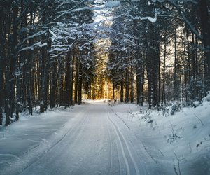 Winterwonderland in Büchern: Die 5 besten Romane für den Januar