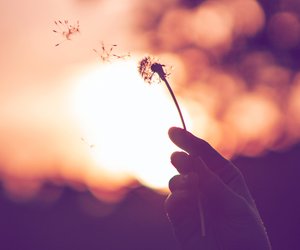 21 Pusteblume-Tattoos, die du dir sofort stechen lassen willst
