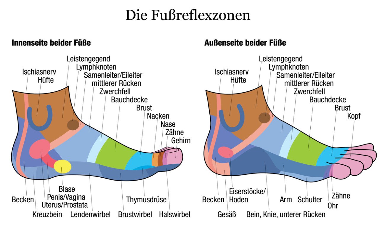 Fußreflexzonen Fußreflexzonen