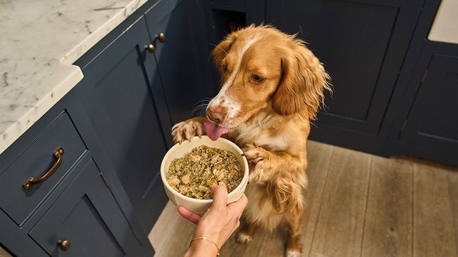 "Lily's Kitchen"-Tierfutter für Hunde: Gesunde Rezeptur ohne Zucker und Zusatzstoffe.