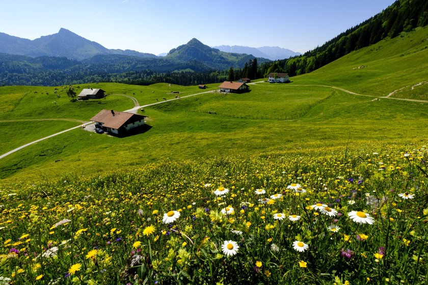 Der Heuberg in Bayern