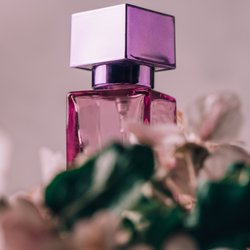 Mit bulgarische Rose: Dieser neuer Mandarinen-Duft von Rossmann ist ein Muss