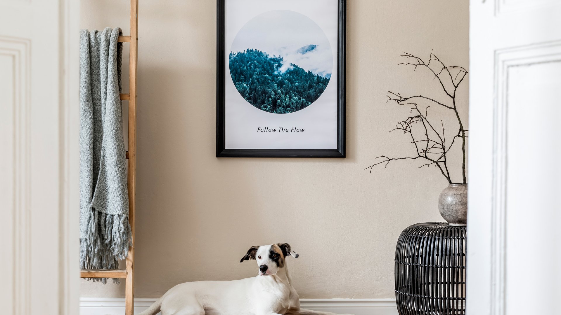 Flur-entr-mpeln-Von-diesen-Dingen-kannst-du-dich-ruhig-trennen-