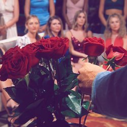 „Der Bachelor“: Mit wem knutscht Dominik in Folge 3?