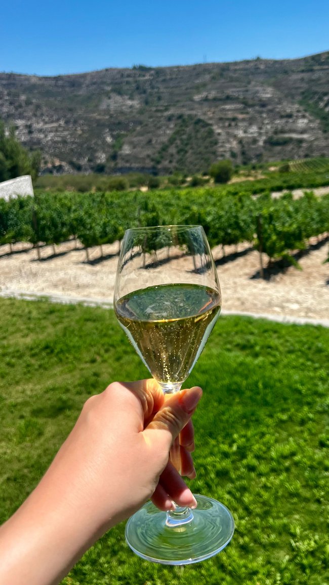Weinprobe Zypern