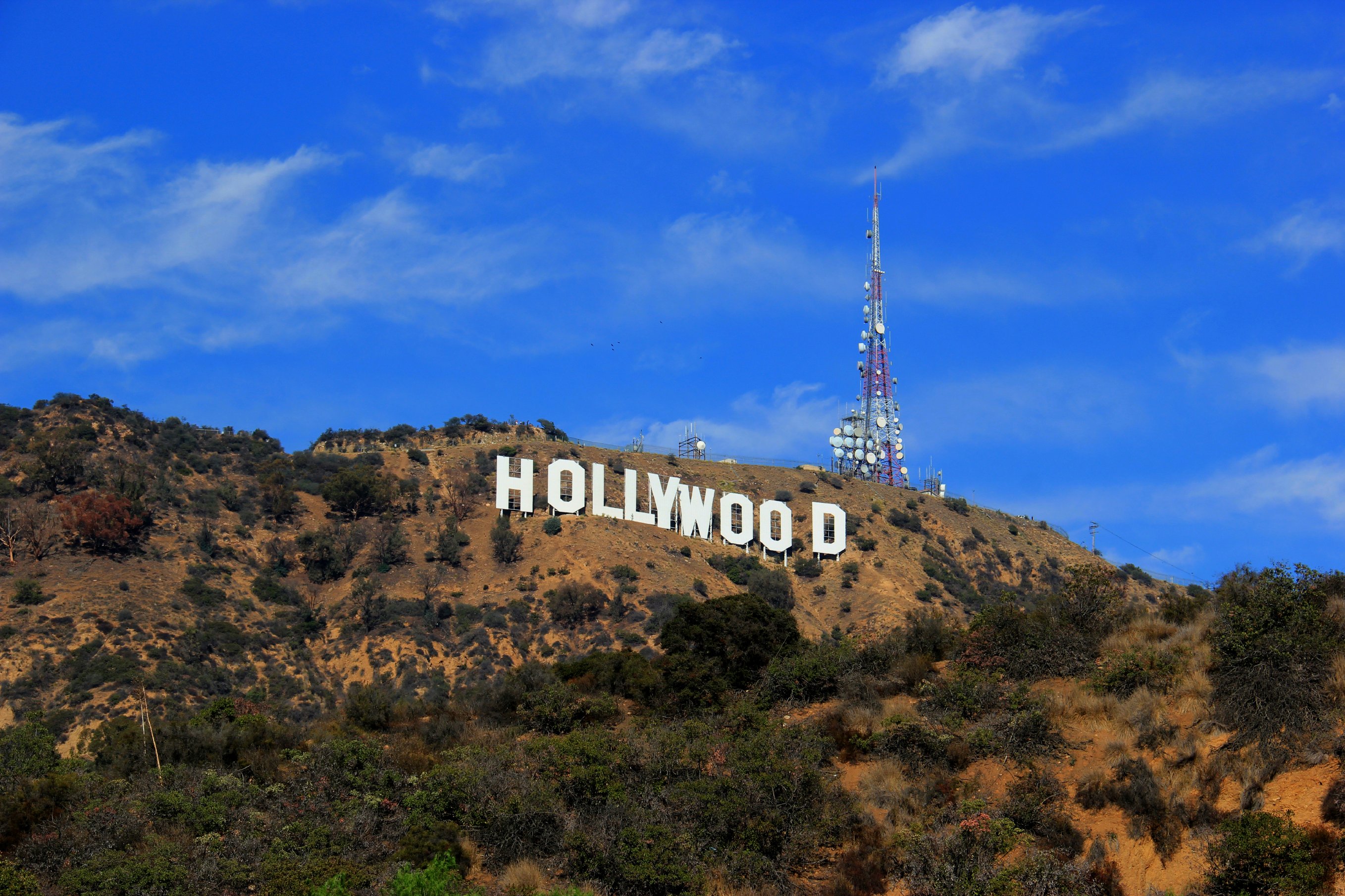 Image result for Hollywood