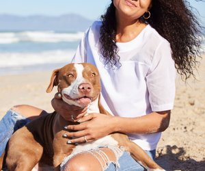 Auf welche Namen hört ein Hund am besten