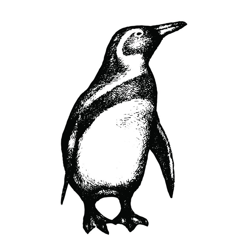 Pinguin-Tattoo Vorlage 5