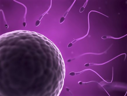Zu wissen, wann Deine Ovulation stattfindet, kann Dir bei der Familienplanung helfen Zu wissen, wann Deine Ovulation stattfindet, kann Dir bei der Familienplanung helfen