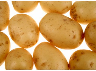 rohe, ungeschälte Kartoffeln rohe, ungeschälte Kartoffeln