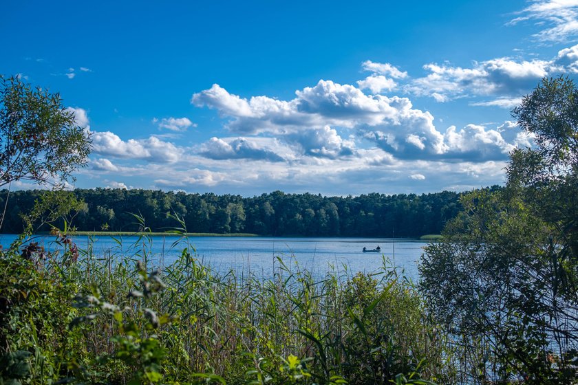 Seenlandschaft in Brandenburg.
