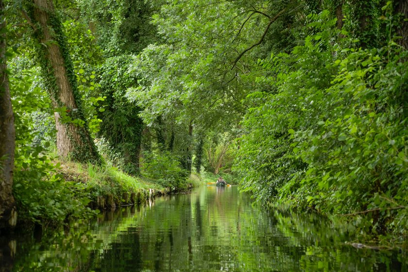 Spreewald, Brandenburg.