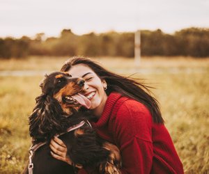 Träume werden greifbar: Für 5 Sternzeichen hält der Oktober magische Momente bereit