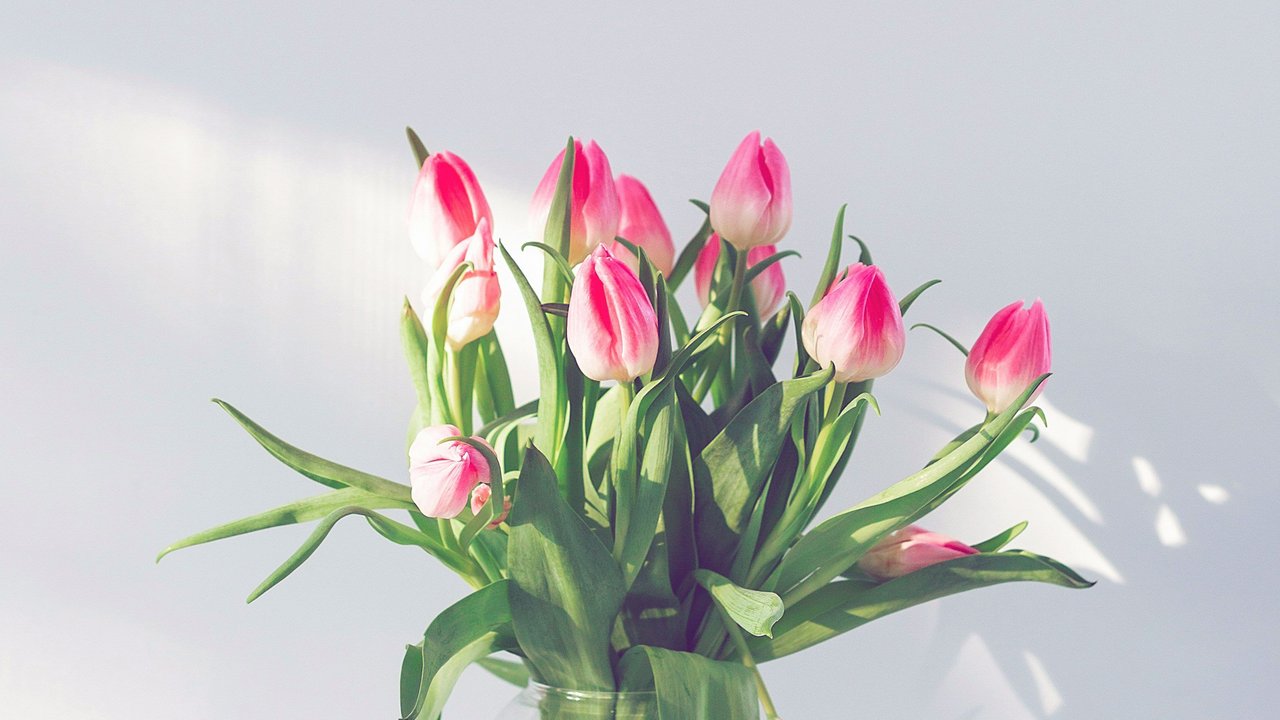 Fake Tulpen