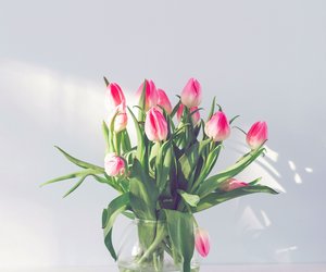 Unechte Tulpen: 3 Deko-Favoriten, die für immer schön bleiben