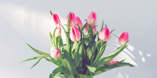 Unechte Tulpen: 3 Deko-Favoriten, die für immer schön bleiben