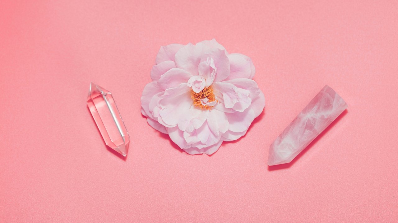 Rose quartz crystal, rose flower placed on a delicate background