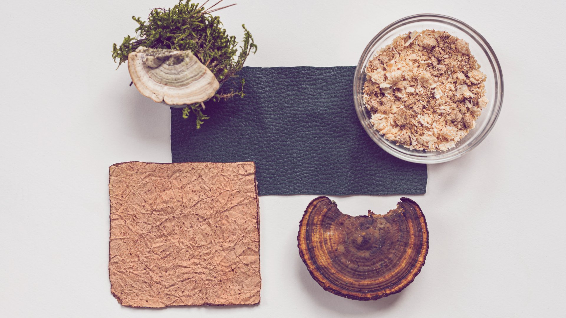 Veganes-Leder-Diese-Alternativen-musst-du-unbedingt-kennen
