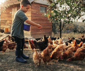 Bauernhofkindergarten: So funktioniert das besondere Konzept mit Tieren