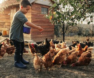 Bauernhofkindergarten: So funktioniert das besondere Konzept mit Tieren
