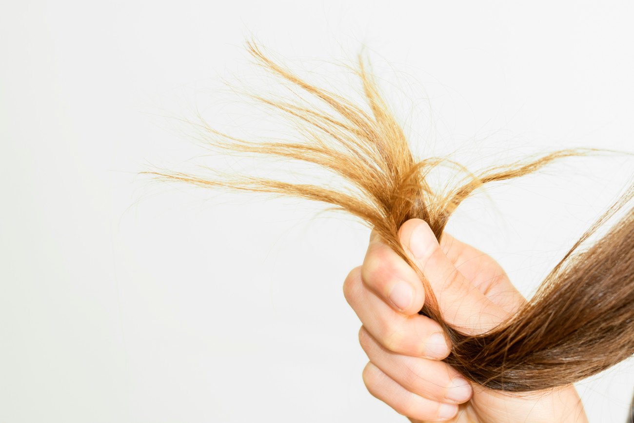 Kaputte Haare Haarbruch Spliss Kaputte Haare Haarbruch Spliss