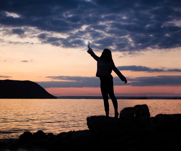 Bienen Was bedeutet es, wenn wir von diesen Insekten träumen?