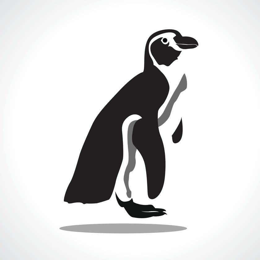 Pinguin-Tattoo Vorlage 13