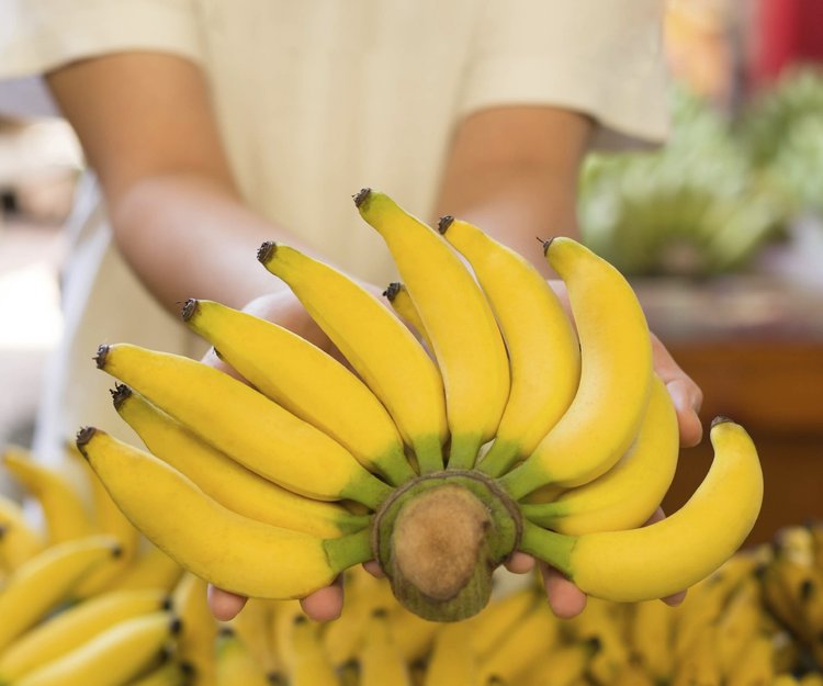 Diät essen nur Banane Diät essen nur Banane