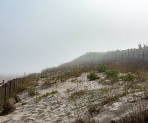 Die schicksalhafte Begegnung in diesem Krimi von Charlotte Link verändert alles