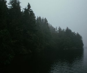 Bei Thriller-Fans sorgt die Therapiesitzung aus diesem Fitzek-Roman für Nervenkitzel