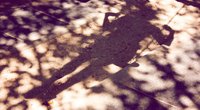 Psychologie: Wieso es so wichtig ist, unser Schattenkind zu heilen