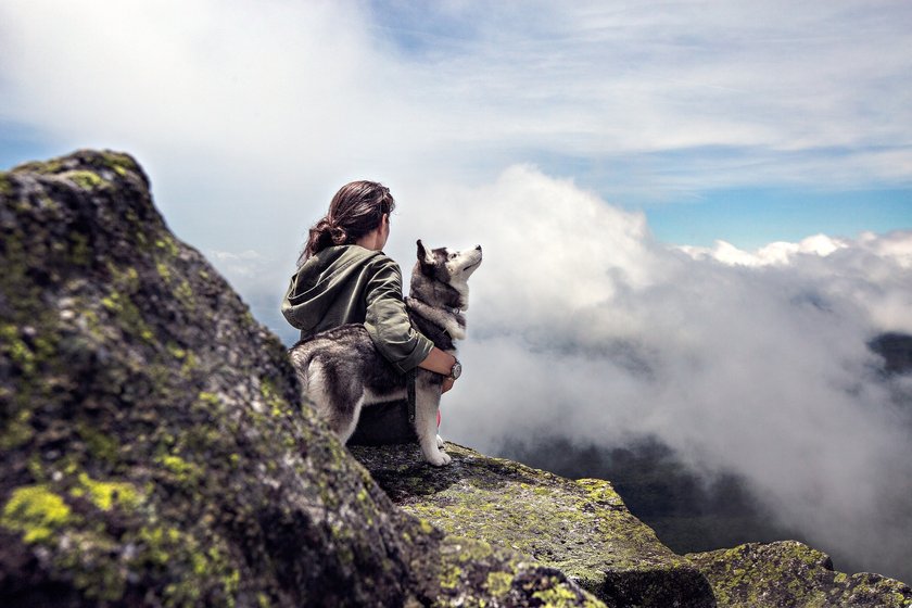 Einige Hunderassen eignen sich ideal als tierische Begleiter zum Wandern.