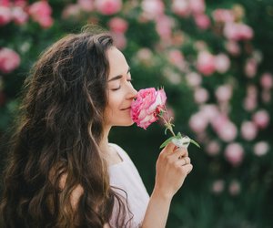 Persönlichkeitstest: Welche Blume spiegelt deine Seele wider? Finde es im Test heraus!