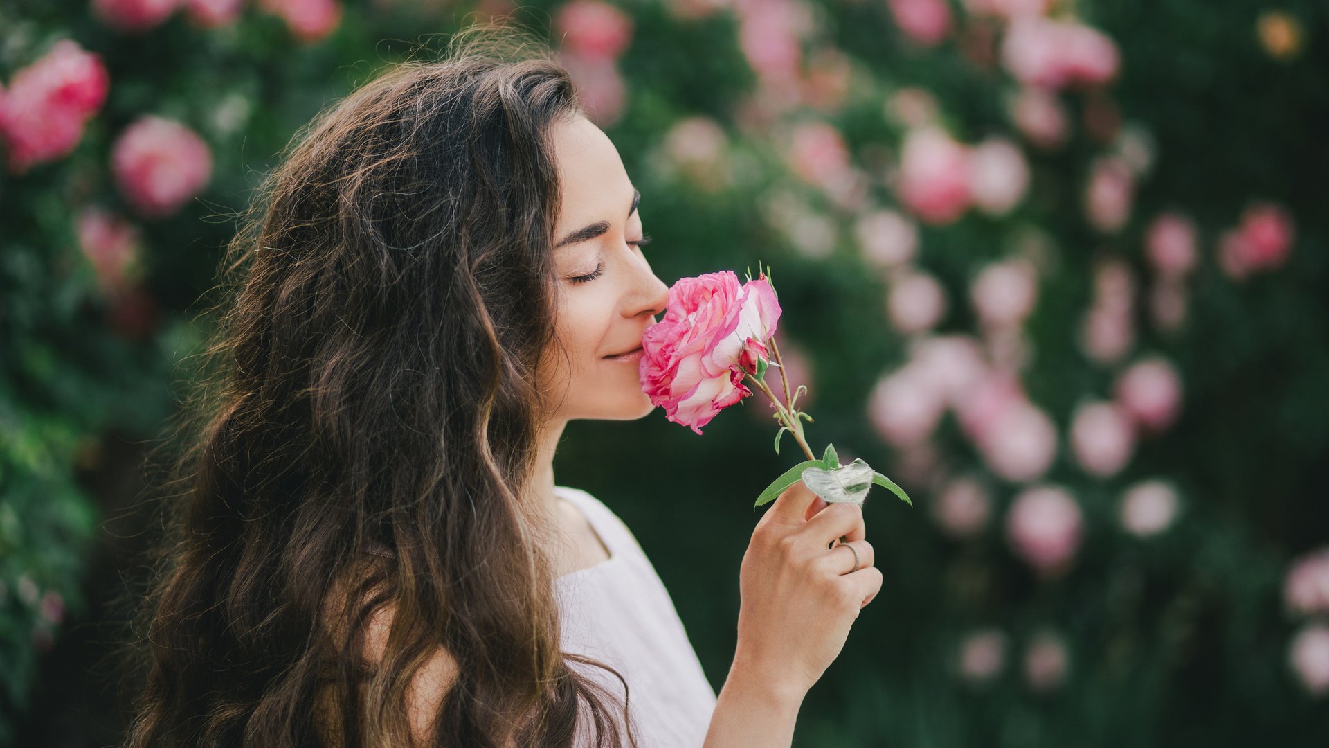Aster-Rose-oder-Tulpe-Diese-Blume-passt-wirklich-zu-deiner-Seele