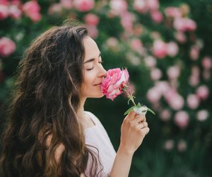 Aster, Rose oder Tulpe: Diese Blume passt wirklich zu deiner Seele