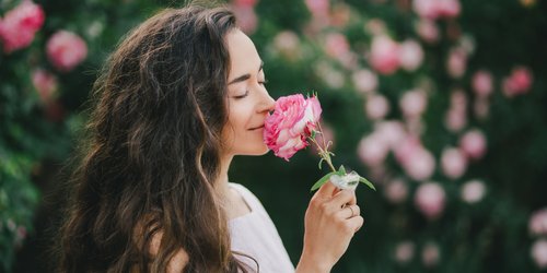 Deine Seele als Blume: Bist du eine Aster, Rose oder Tulpe?