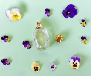 Dieses klassische Parfum von Rossmann ist ein Geheimtipp