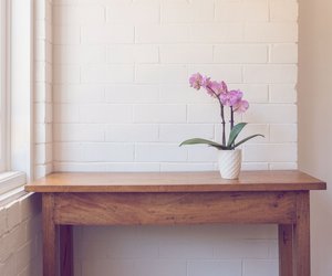 Orchideen richtig gießen & pflegen: Mit diesen 5 Tipps halten sie ewig