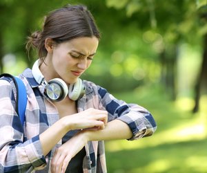 Du wirst ständig gestochen? Dann solltest du dieses Gadget kennen