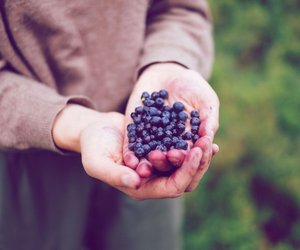 Mit diesem Trick kannst du ganz leicht deine eigenen Blaubeeren auf dem Balkon anpflanzen!