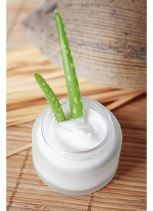 Aloe Vera hilft Aloe Vera hilft
