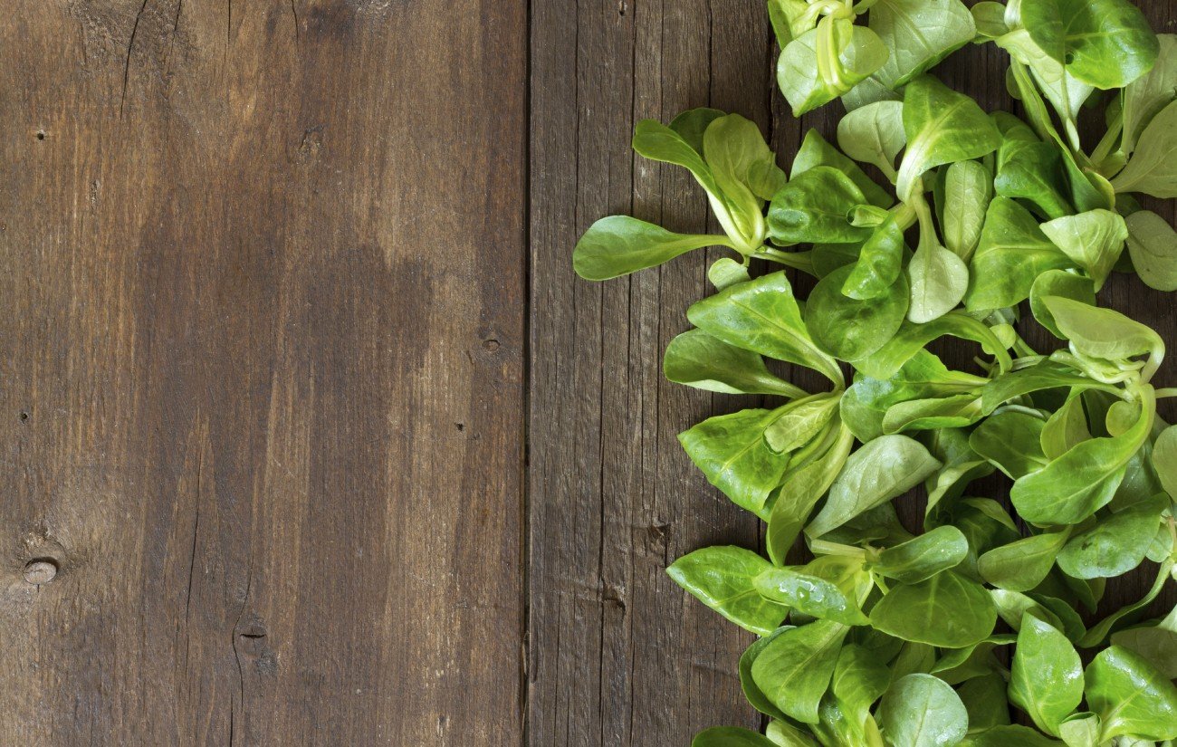 Feldsalat auf einem Holztisch Feldsalat auf einem Holztisch
