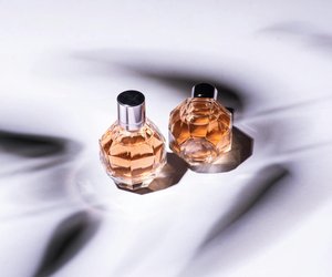 Mit diesen 4 Parfums machst du auf dich aufmerksam