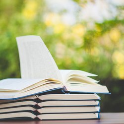 „Twisted“, „Off-Campus“ & Co: Diese Bücher werden verfilmt
