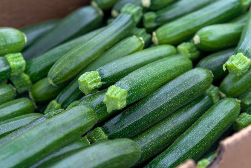 Zucchini