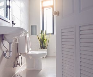 Welcher WC-Reiniger ist der beste? Bekannte Marken fallen bei Stiftung Warentest durch