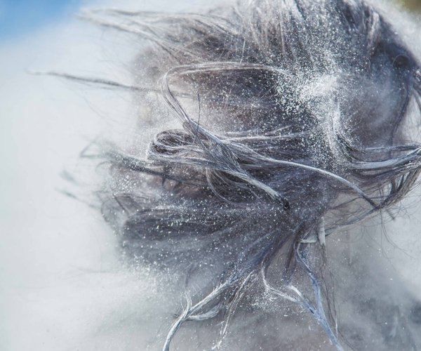 Grünstich aus den Haaren entfernen 5 Hausmittel & Produkte